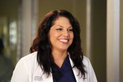 greys-anatomy_callie-torres