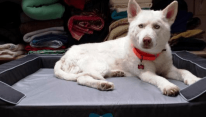 Screen Shot 2017-02-24 at 1.29.57 PM.png