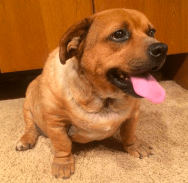 screen-shot-2017-02-24-at-1-33-39-pm