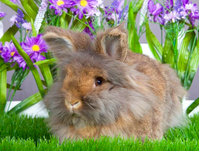 screen-shot-2017-02-24-at-1-39-38-pm