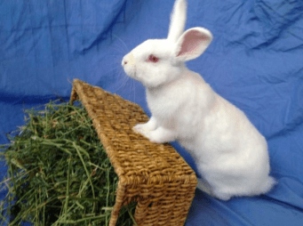 Screen Shot 2017-02-24 at 2.13.56 PM.png